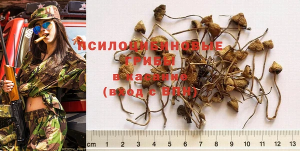 COCAINE Новозыбков