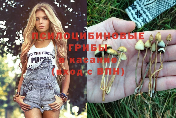 ALPHA PVP Армянск