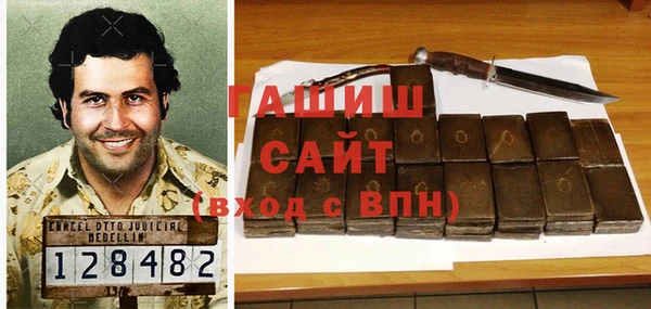 сатива Аркадак