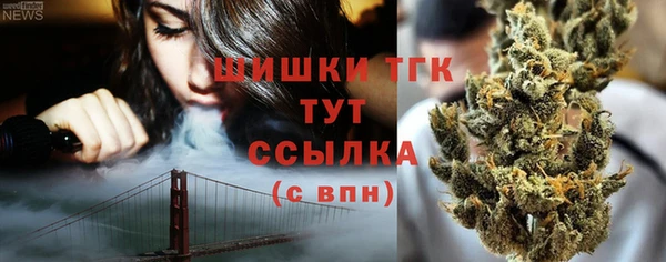 сатива Аркадак